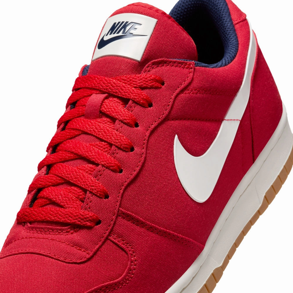 Big Nike Low - Mens