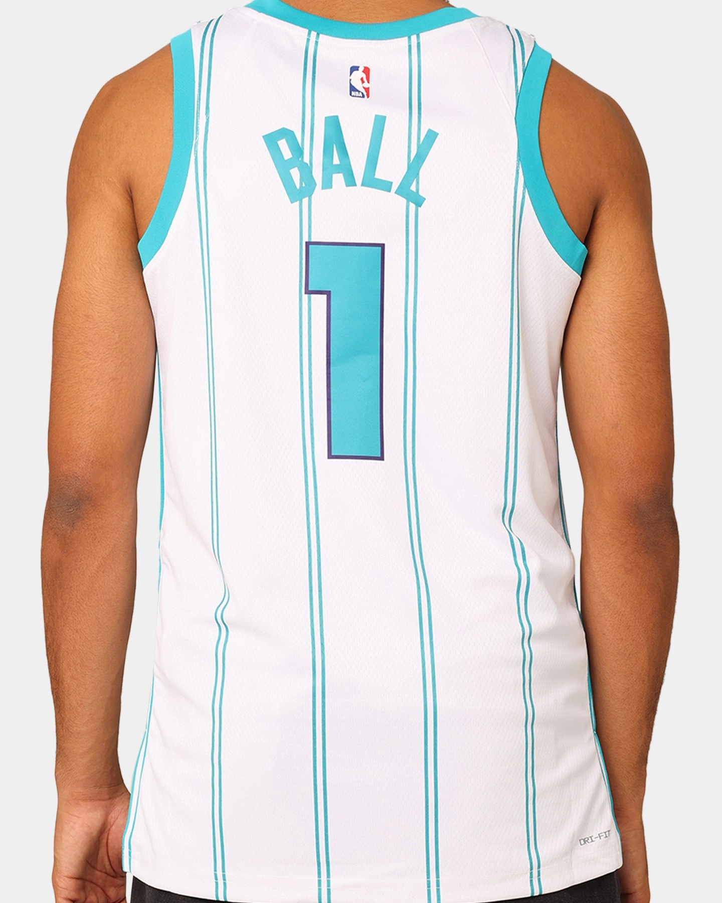 Nike Charlotte Hornets Lamelo Ball Association Edition 2022/23 Dri-FIT Swingman Jersey White
