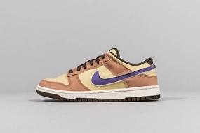 Nike Dunk Low Retro SE 'Dusted Clay'