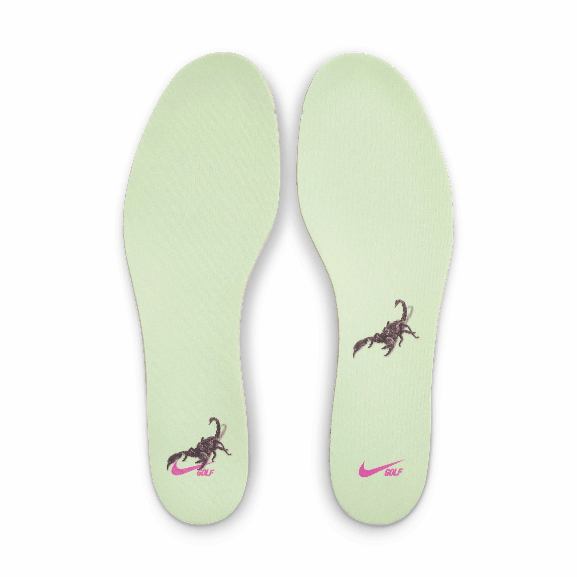 Nike Golf Roshe G 2.0 NRG Shoes