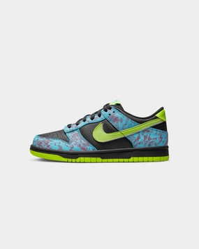 Nike Kids' Dunk Low SE (GS) Multi-Coloured