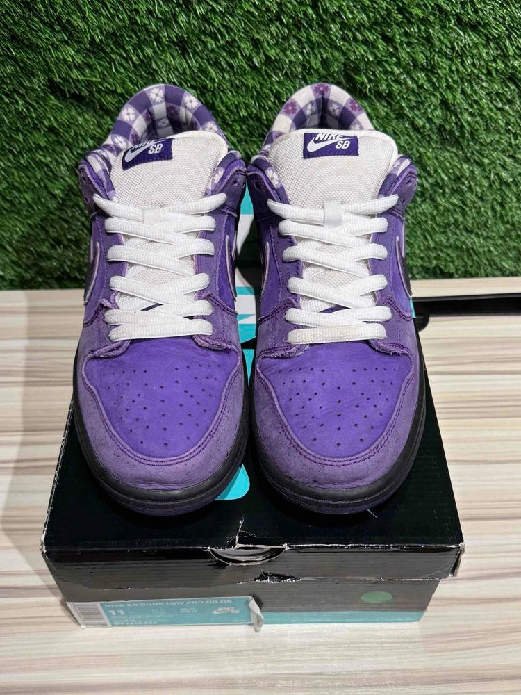 Nike SB Dunk Low Concepts Purple Lobster Sz 11