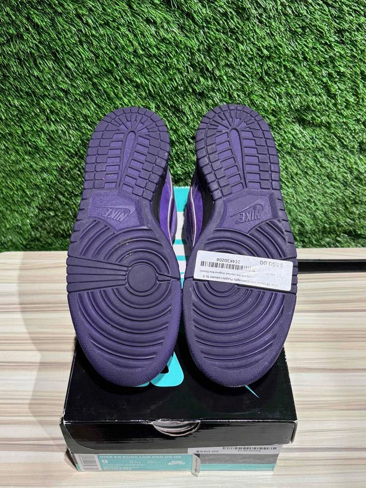 Nike SB Dunk Low Concepts Purple Lobster Sz 9M.