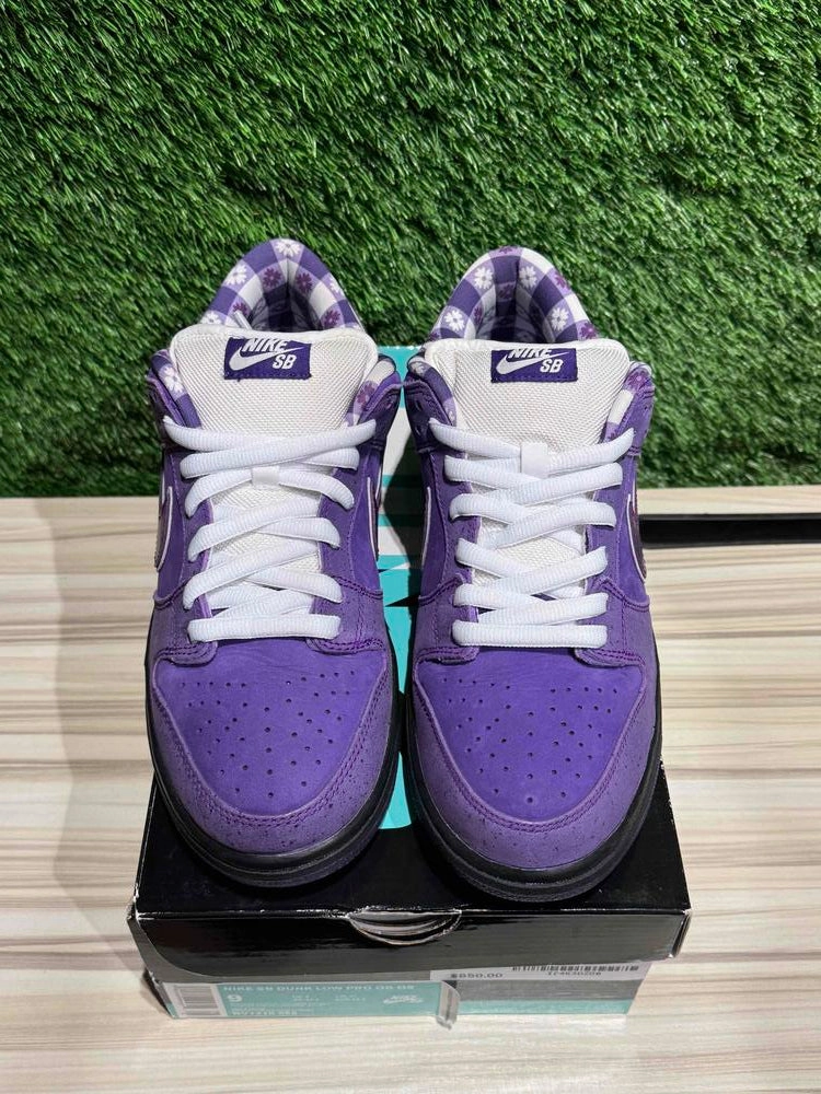 Nike SB Dunk Low Concepts Purple Lobster Sz 9M.