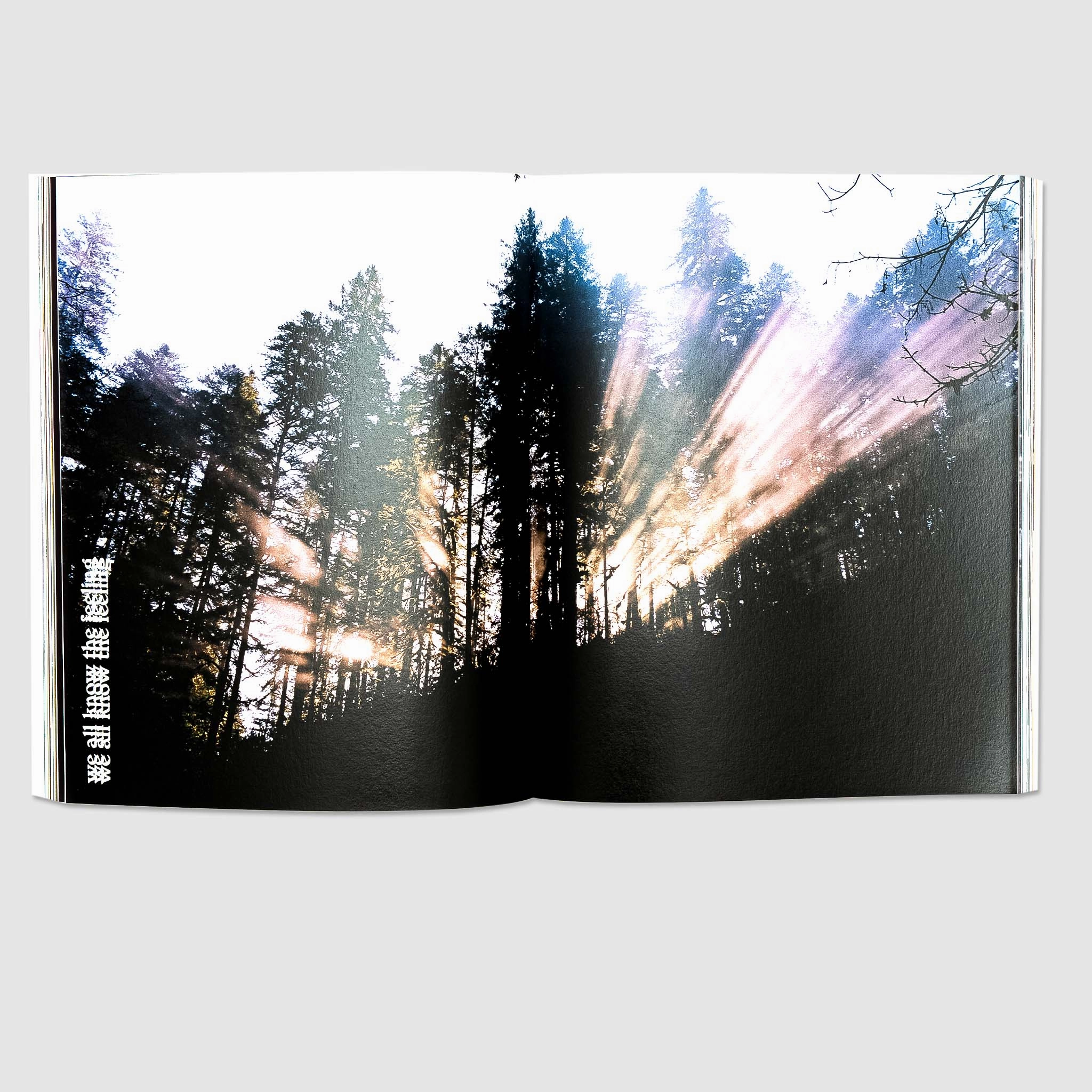 VOLUME TWO BOOK