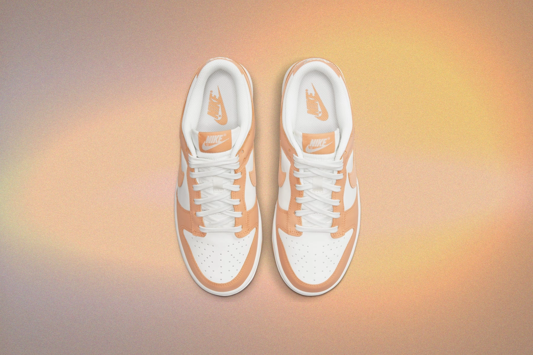 Women's Dunk Low - Sail/Harvest Moon